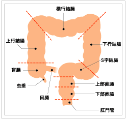 daicho_img01